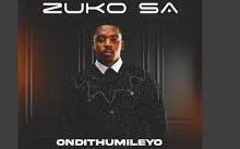 Zuko SA – ONDITHUMILEYO ALBUM