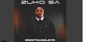 Zuko SA – ONDITHUMILEYO ALBUM