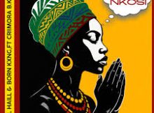 All Haill – Ngenelela Nkosi ft. Born Kxng & Criimora b.k.z