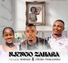 iCrush Yamajongo - Njengo Zahara ft. Shenge Wasehlalankosi