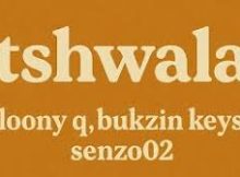 loony q, bukzin keys, senzoO2 - Tshwala (thanda mina)