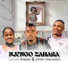 uNyuswa – Njengo zahara ft shenge wasehlalankosi