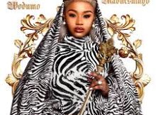 Babes Wodumo - I Blew It