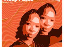 Beat Soul - Many Faces (Vocal Mix) (feat. Angelica)