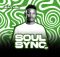 EP: Bhutlish – Soul Sync