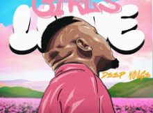 Album: Brandon Dhludhlu – Girls Love Deep House Vol 1