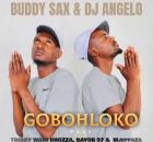 Buddy Sax and DJ Angelo - Gobohloko feat. Bayor97