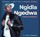 Caeser, MLT zA & Aspho Shezi – Ngidla Ngedwa FT Magcina & Noziey