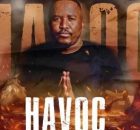 Citizen Sthee – Havoc (Groove Mix)