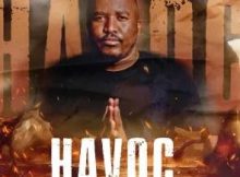 Citizen Sthee – Havoc (Groove Mix)