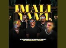 Dj Kayd Boizen, Da Mabusa, Zuzu Key - IMALI YAMI feat. Sabza Womqulo