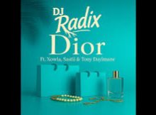 Dj Radix - Dior