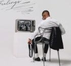 Djy Biza & Shakes & Les – Feelings (feat. Leandra.Vert)