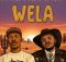 Djy Vino - Wela