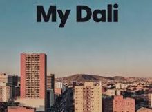 Djy Zan SA, 1F4OUR1, Sizwe Alakine, Boontle RSA – My Dali