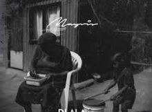 Dlala Thukzin: Mayvis – Album & All Songs 2025