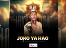 Dr Nel - Joko Ya Hao (New Songs)