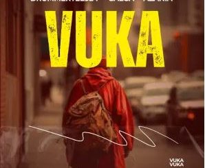 DrummeRTee924, Salga & Azania – Vuka