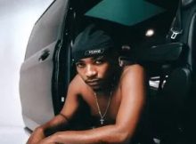 EeQue, Criimora b.k.z & Beekay Monalayzzar – Viano (feat. Swizxle, Senzo02 & Essa Kay)