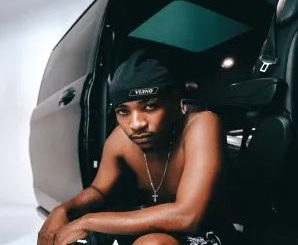 EeQue, Criimora b.k.z & Beekay Monalayzzar – Viano (feat. Swizxle, Senzo02 & Essa Kay)