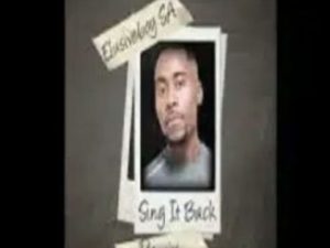 Elusiveboy – Sing It Back (Remix)