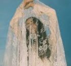 Fleurie - White Lace