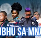 Harrycane x Nicco NK - Sgubhu Sa Mnade ft Eemoh x Nkosazana Daughter