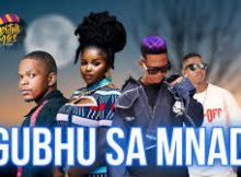 Harrycane x Nicco NK - Sgubhu Sa Mnade ft Eemoh x Nkosazana Daughter