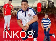 Inkosi YamaGcokama ft Dlubheke - True Colours