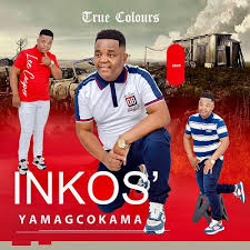 Inkosi YamaGcokama ft Dlubheke - True Colours