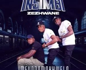 Insimbi ZeZhwane – UMTHOBA NHLIZIYO