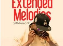 King Salah – Extended Melodies EP