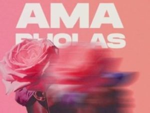 Kwiish SA – Amapholas Vol 13 Mix