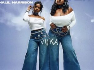 Lesego M & Leandra.Vert – Vuka (feat. Khalil Harrison)