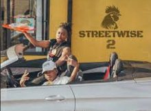 EP: MajorSteez – StreetWise 2