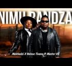 Makhadzi x Nelson Tivane - A Hi Fambeni