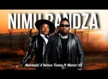 Makhadzi x Nelson Tivane - A Hi Fambeni