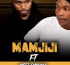 Mamjiji – Asithandane (feat. Imfezemnyama)