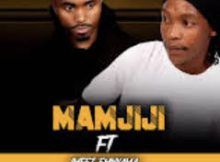 Mamjiji – Asithandane (feat. Imfezemnyama)