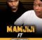 Mamjiji – Asithandane (feat. Imfezemnyama)