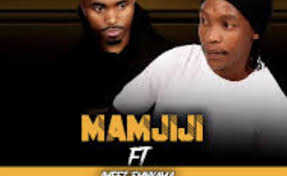 Mamjiji – Asithandane (feat. Imfezemnyama)