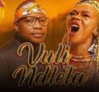 Master KG & Brenda Fassie – Vuli Ndlela Ft Makhadzi, Nkosazana Daughter, Eemoh