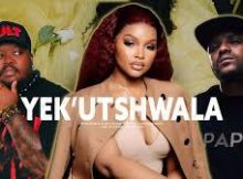 Mawhoo, Kabza de Small - Yekutshwala (ft. Dlala Thukzin, OscarMbo, Heavy k & Jazzwrld)