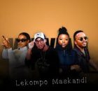 Milo Deep & Mvzzle - Lekompo Maskandi (Revisit) Song ft Shandesh & Kharishma
