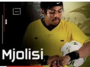 Mjolisi – Ubuhle Obungaka (Snippet)