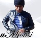 Mjolisi – Usizi