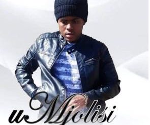 Mjolisi – Usizi
