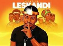 Mvzzle - Leskandi (Maskandi Song)