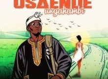 Mwenje Mathole – Usaende Ungahambi