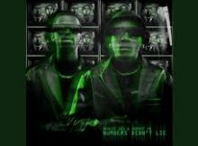 Nkulee501 and Skroef 28 - Sgidongo Vox Song